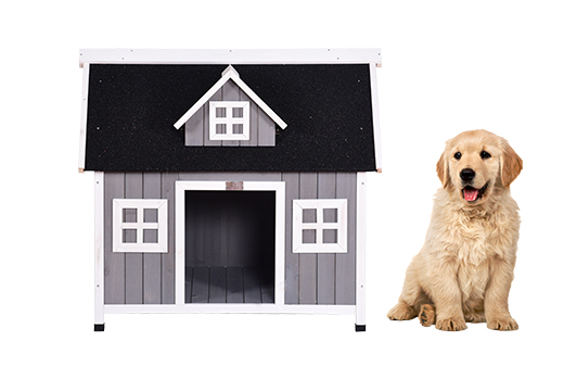 Cages pour chiens
