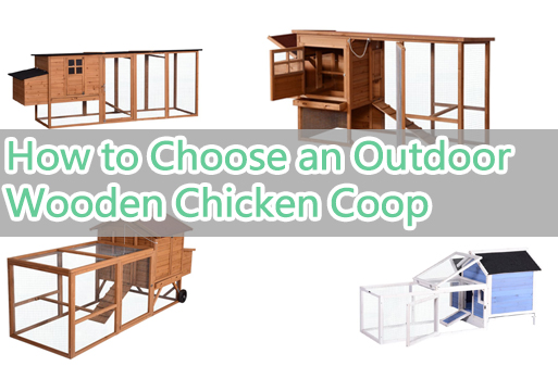 Guide de sélection des cages à poulets d'extérieur en bois