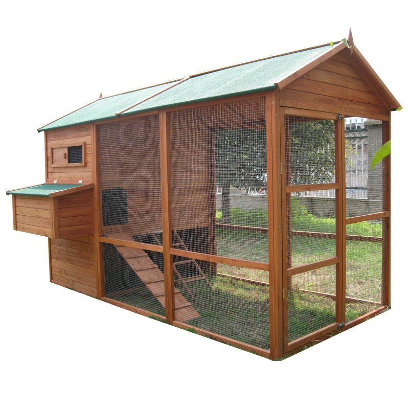 chicken coop backyard