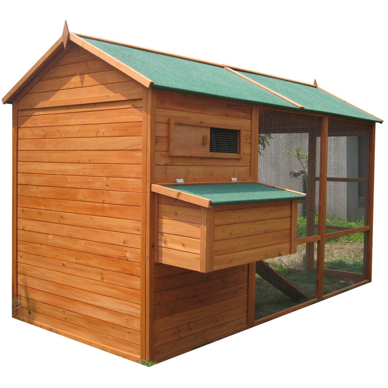 Backyard Chicken Coop wood
