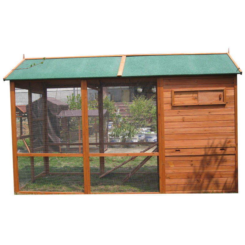 Walk in chicken coop