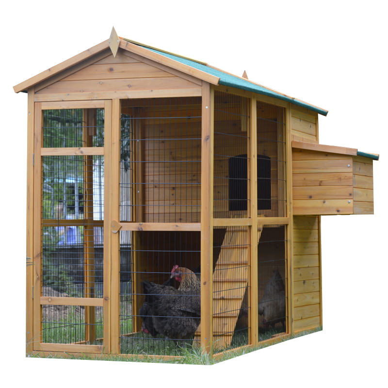 poultry cage