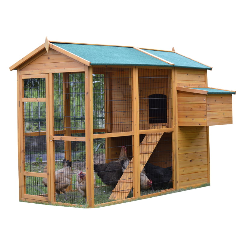 layer chicken cage