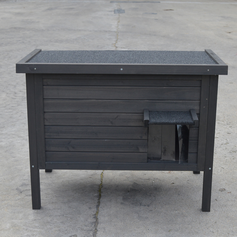 Outdoor cat sanctuary