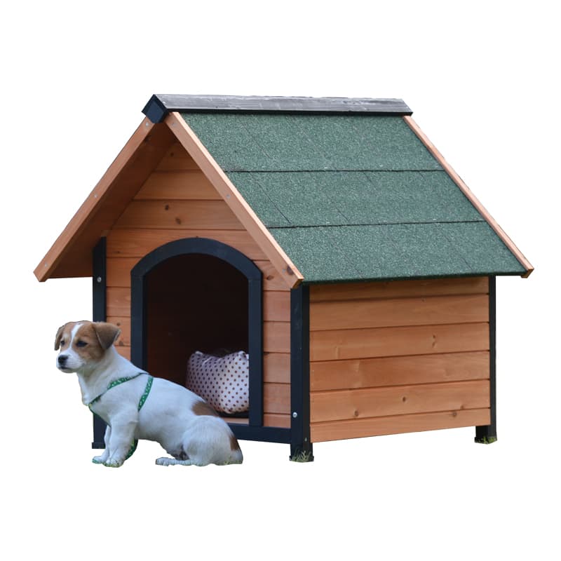 pet in dog house