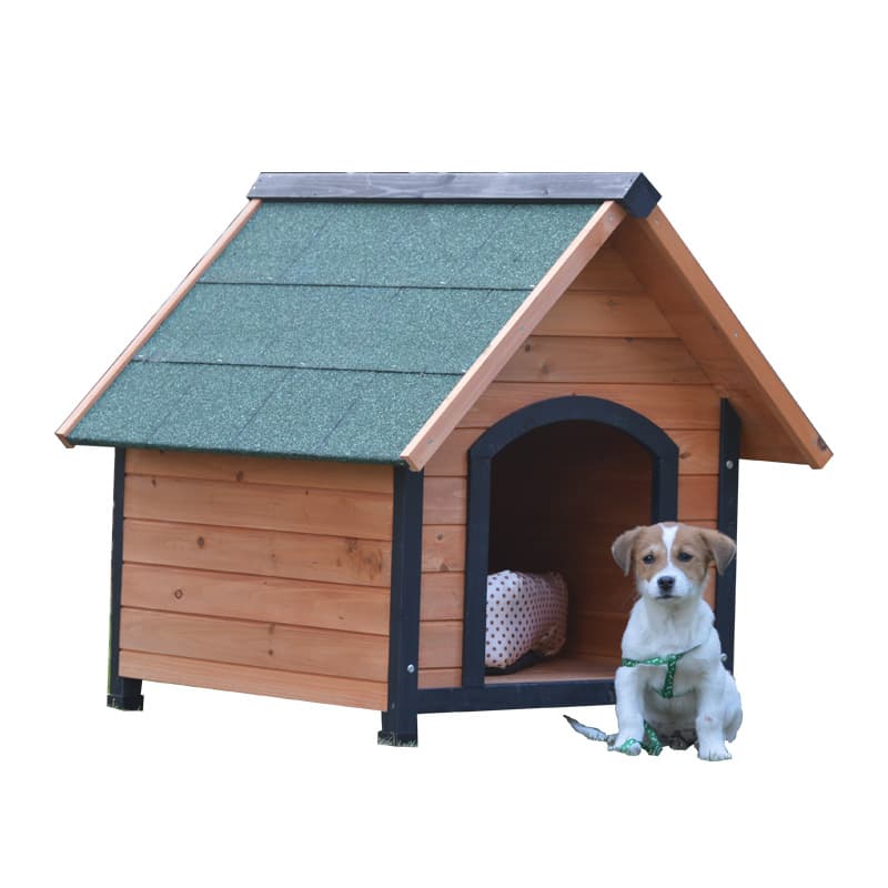 dog kennel in garden