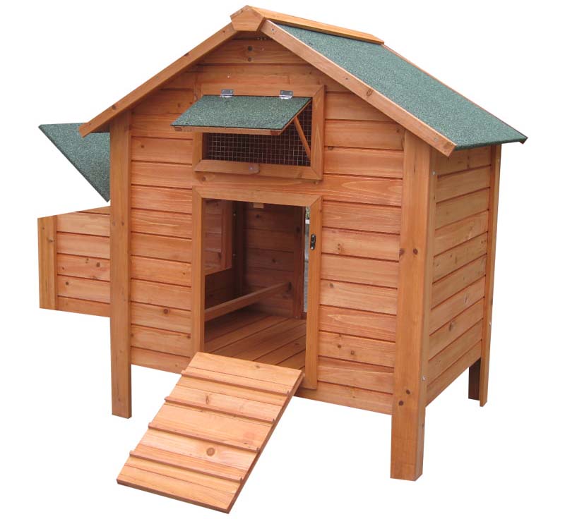 chicken coop large