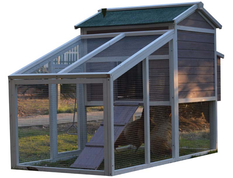 chicken cages egg layer poultry farms