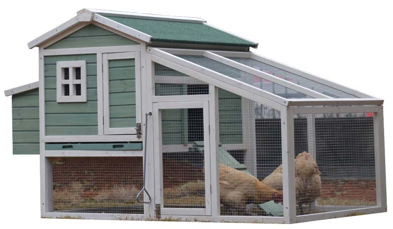 outdoor chicken cage