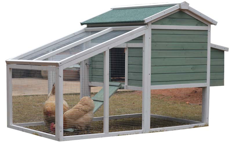 chicken coop for sale online