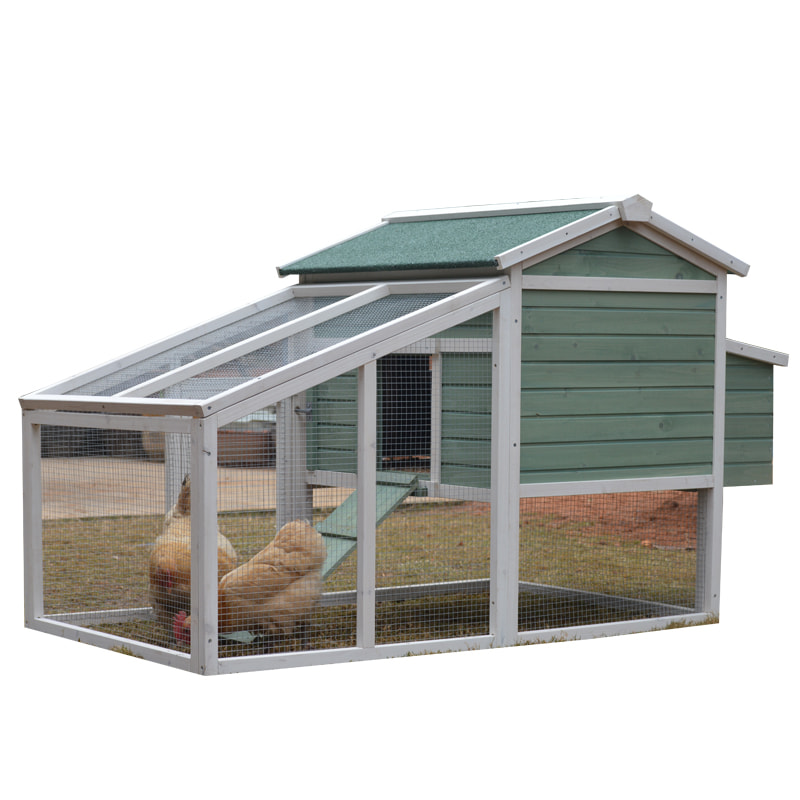 chicken coop net