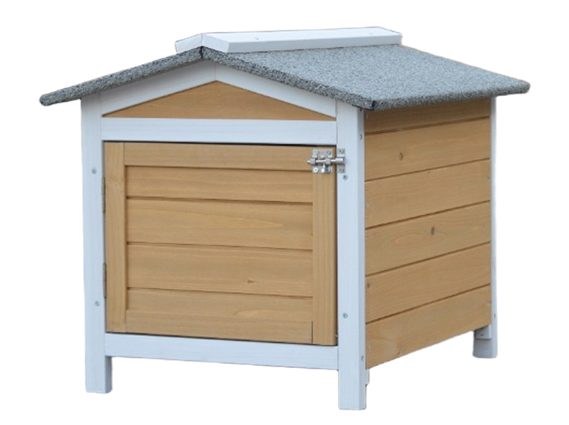 Outdoor cat sanctuary cute house