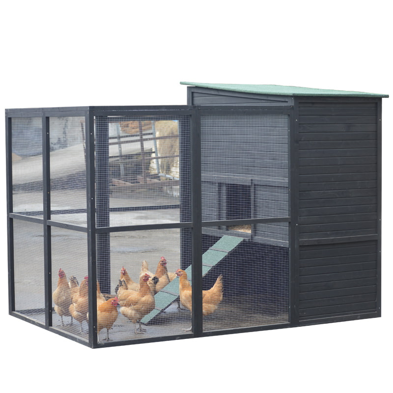 chicken coops for 15 chickens