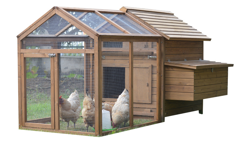Environmental friendly outdoor Chicken Coop 