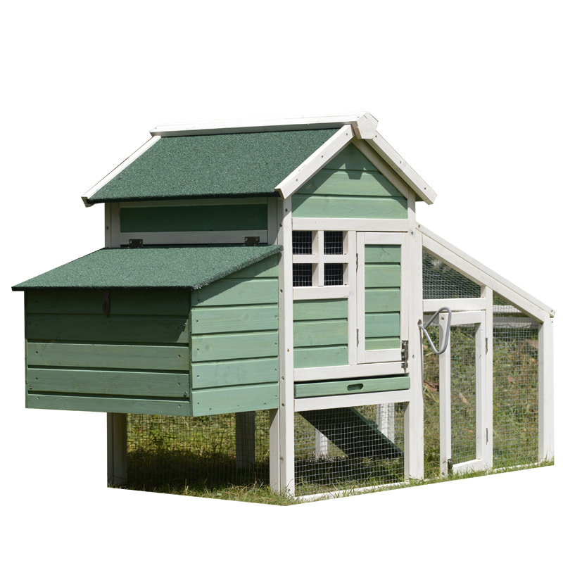 layer cages egg chicken poultry farm