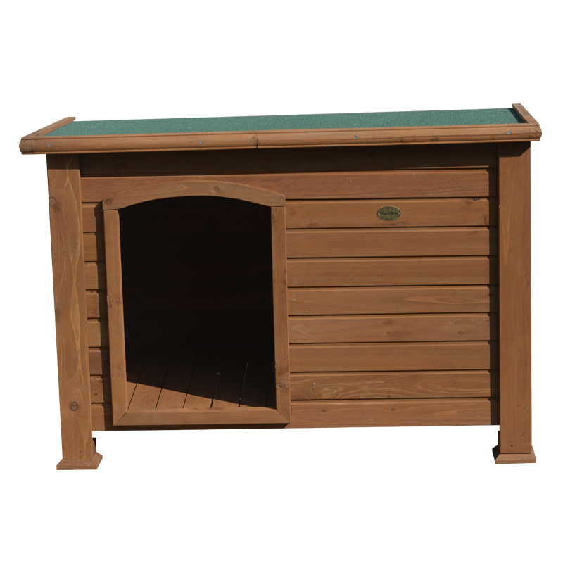 boarding for cats near me