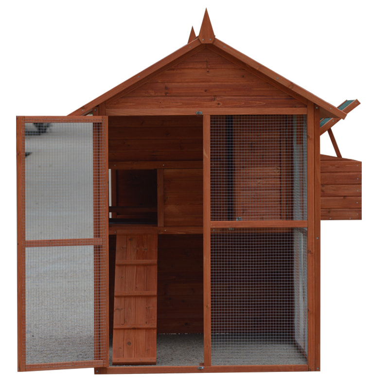 chicken cage with climbing frame