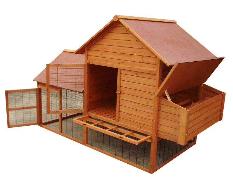 Outdoor Big Chicken Coop cozy