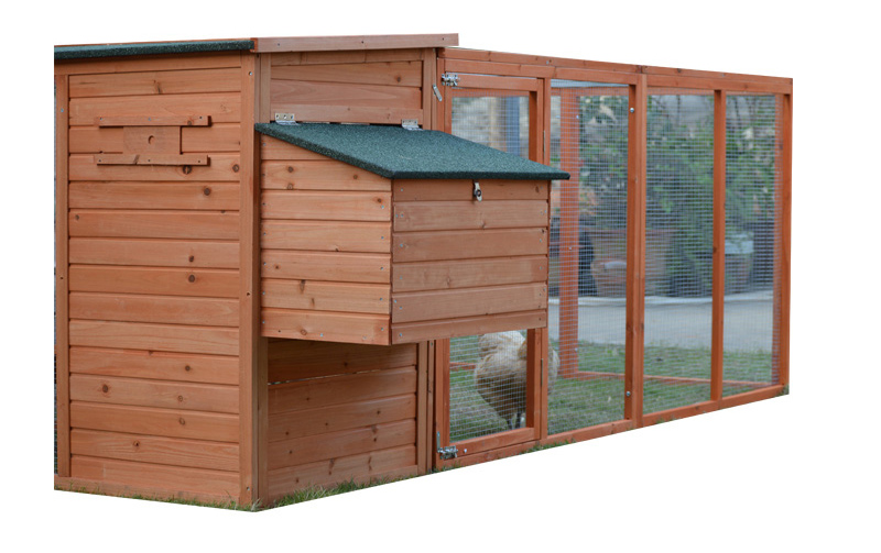 Waterproof backyard chicken coop conutryside style