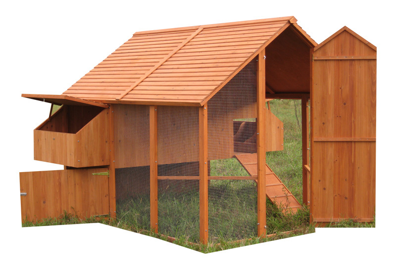 Outdoor large cozy Chicken Coop backyard 