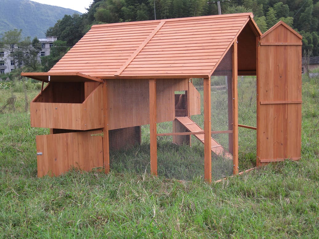 Multi-Pet Compatibility