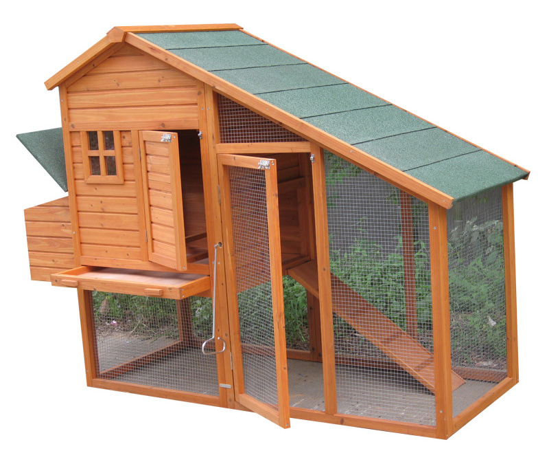 Outdoor Large Chicken Coop