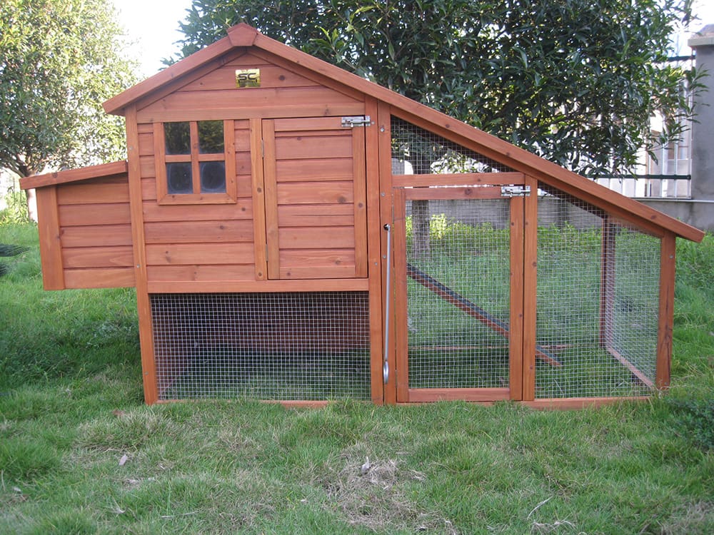 Comfortable Backyard Chicken Coop