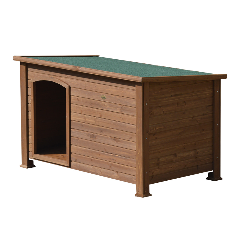 dog daycare and boarding near me