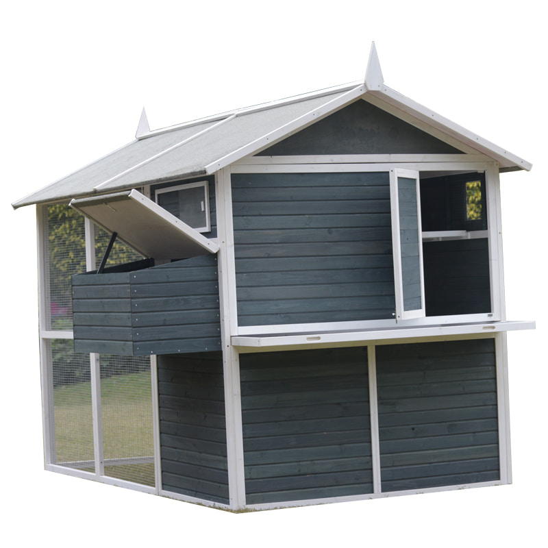 cages for laying chicken