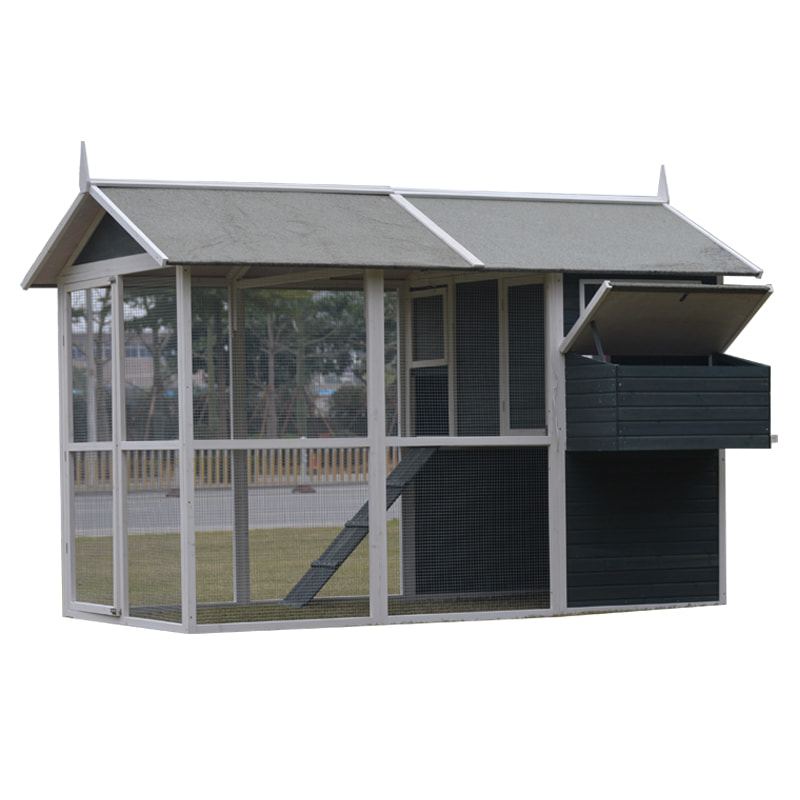 cages for laying chicken