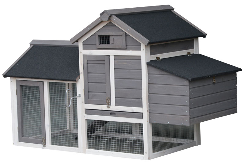 chicken breeding and layer cage