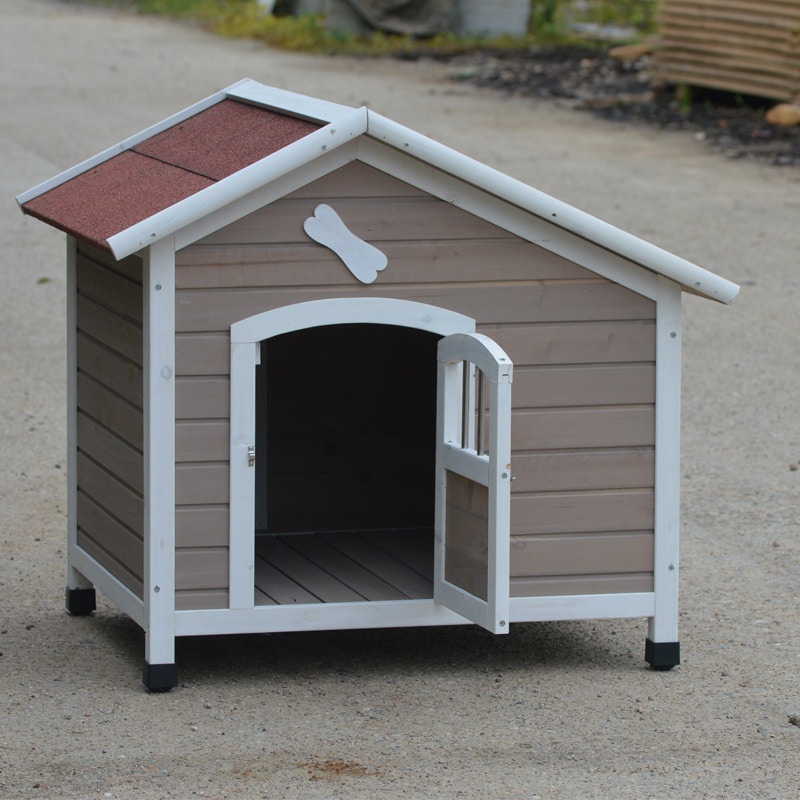 Boarding for cats near me