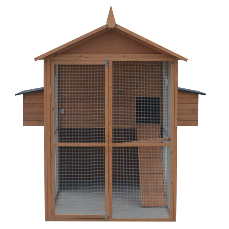 egg cage for chicken