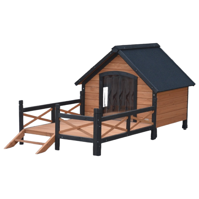 boarding for cats near me