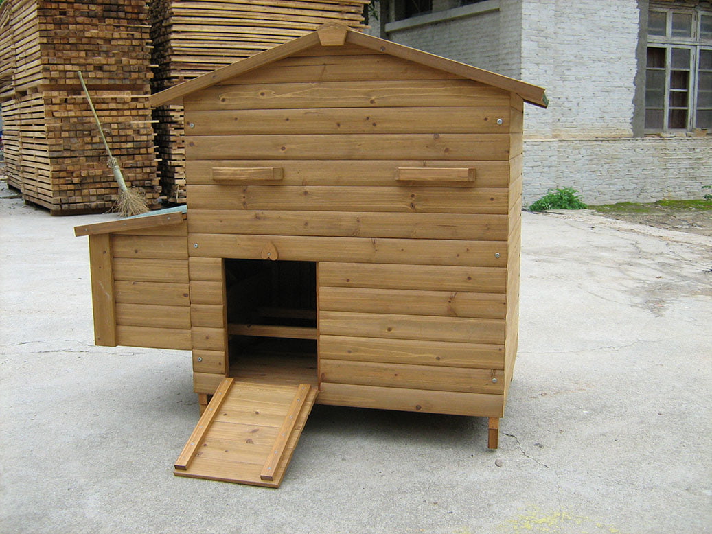 cute wooden chicken coop with ramp