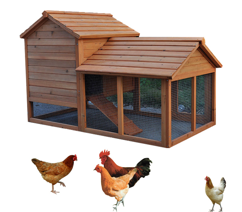Outdoor premium Chicken Coop backyard