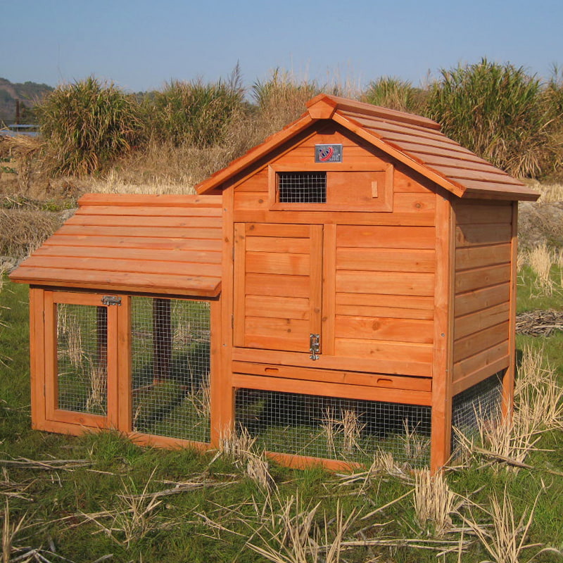 Wooden Hen Coop with Built-In Access Ramp