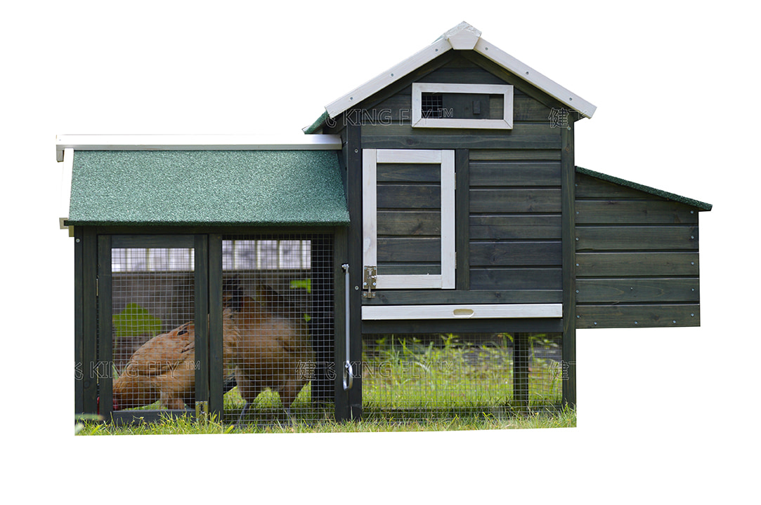 Dark green chicken coop
