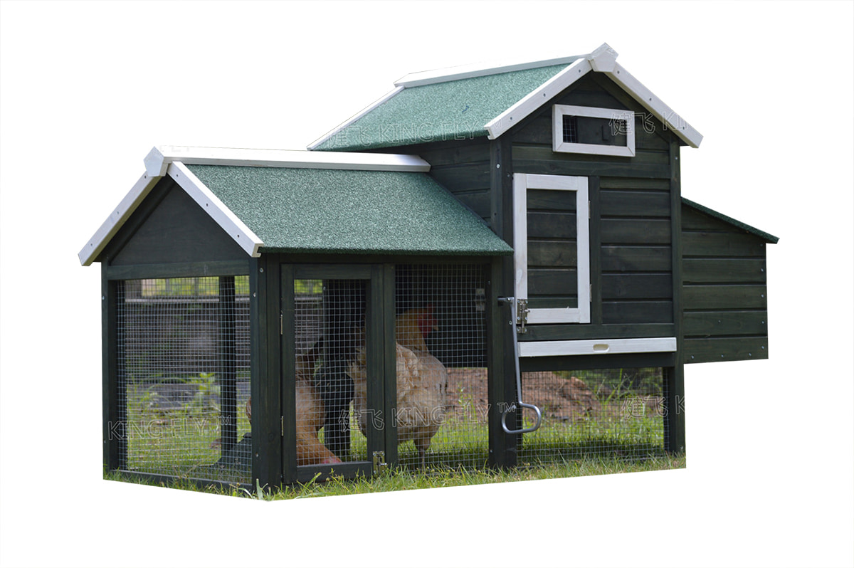 wooden chicken coop sturdy fir wood 
