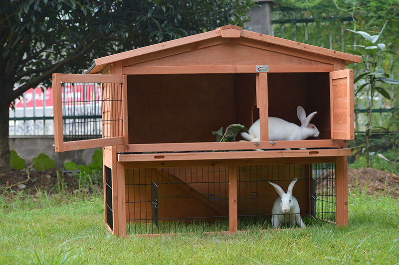 2 storey rabbit hutch 2 storey rabbit hutch