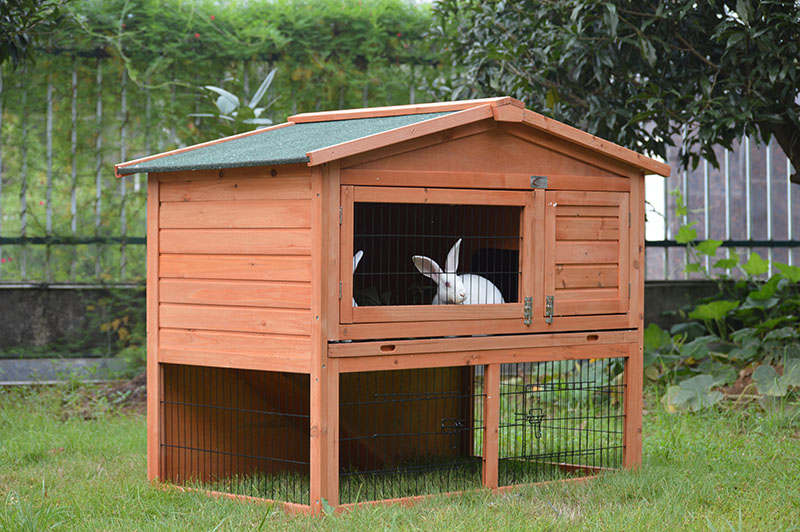 rabbit hutch with pull out tray rabbit hutch with pull out tray