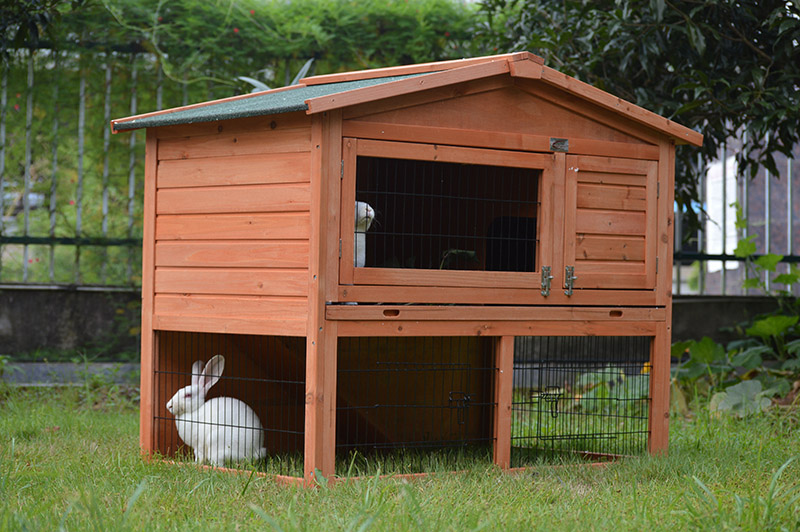 small indoor rabbit hutch
