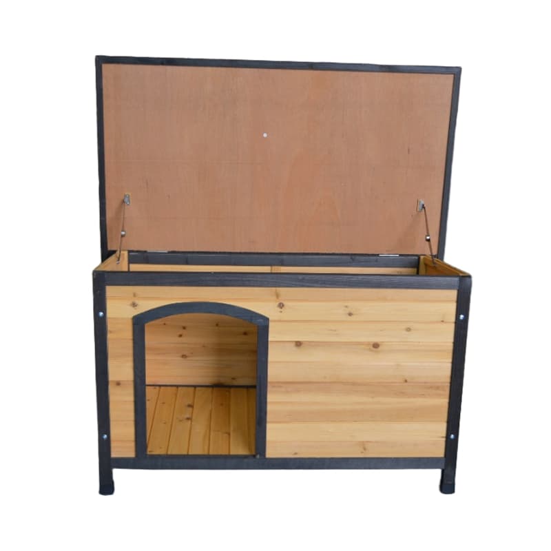 boarding for cats near me