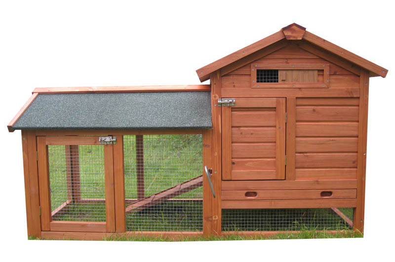 Brown backyard chicken coop