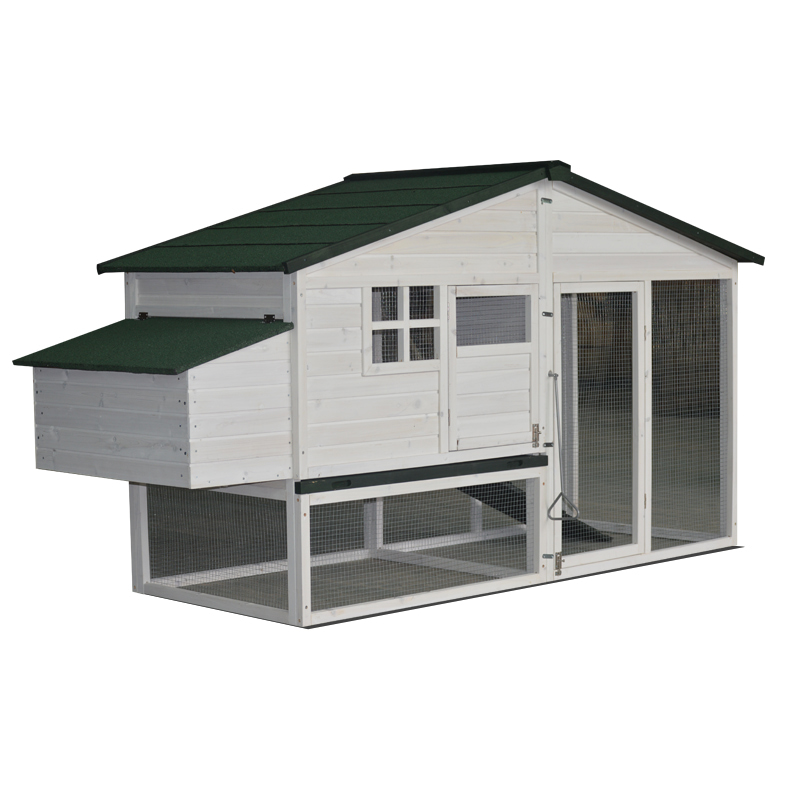 wooden white chicken coop with ramp