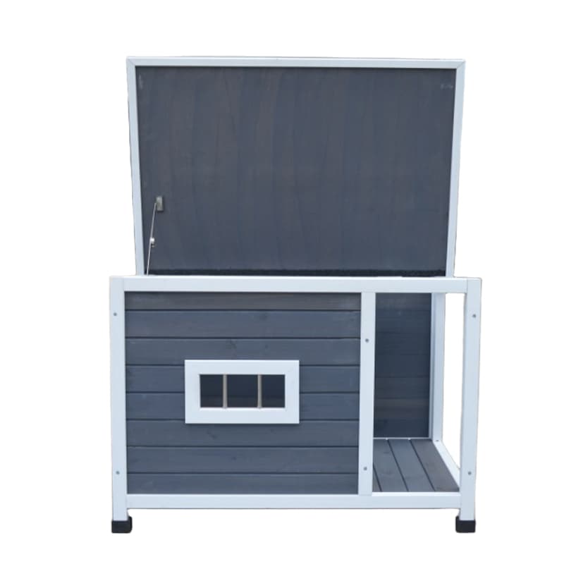 boarding for cats near me