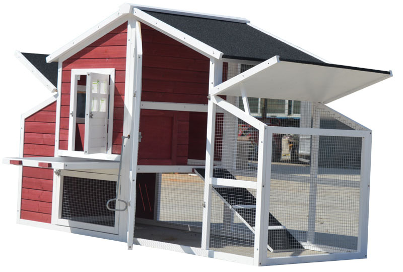 chicken coop for eggs