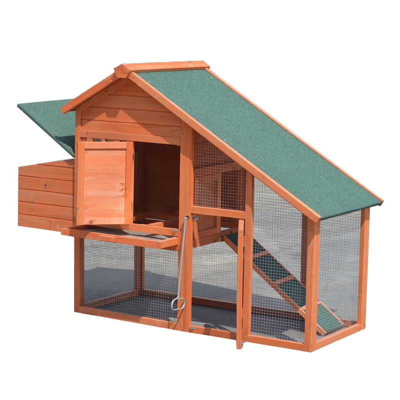 automated chicken layer cage