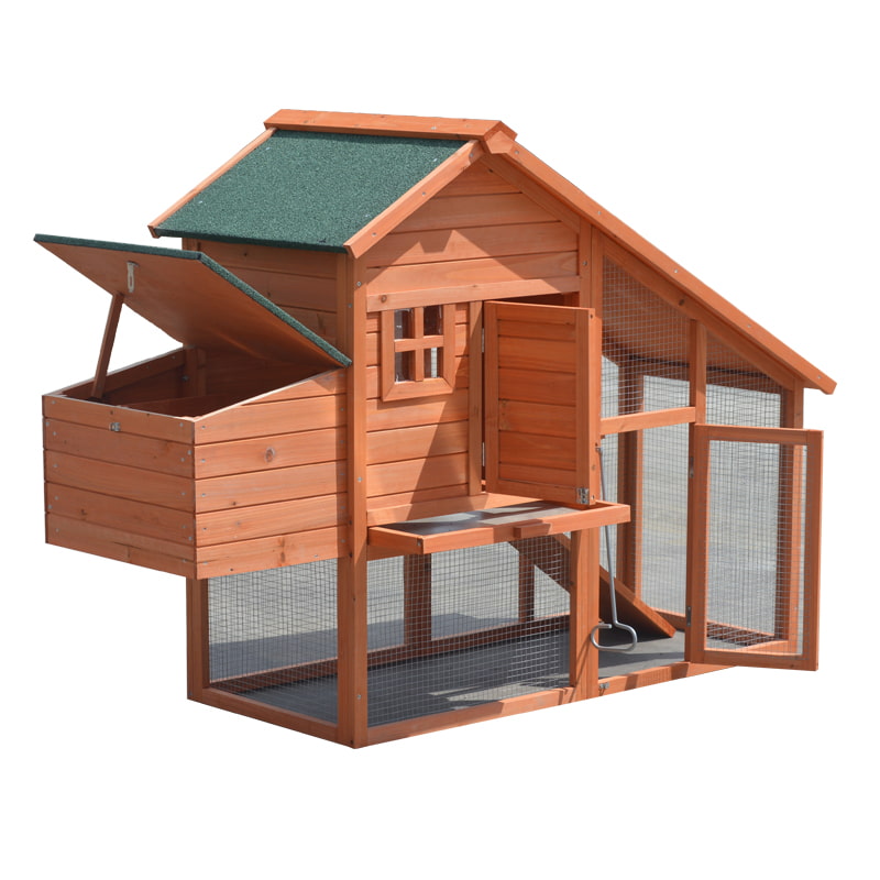 egg laying chicken coop