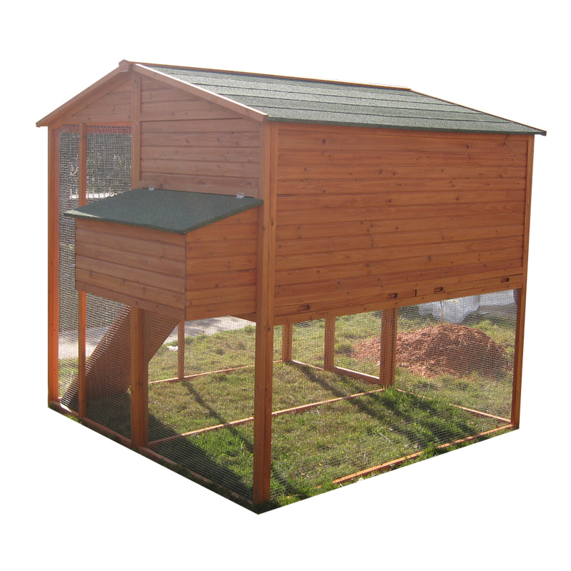 Outdoor chicken coop with ramp